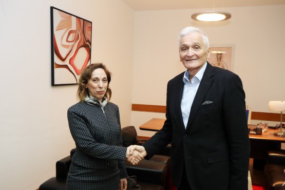 Zamjenik predsjedavajućeg Doma naroda Parlamentarne skupštine BiH dr. Nikola Špirić primio u nastupnu posjetu ambasadoricu Grčke u BiH